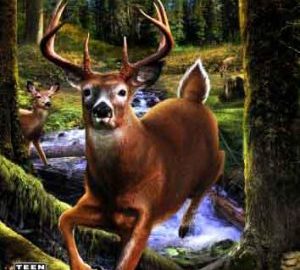 Download Big Buck Hunter Arcade Download Big Buck Hunter Arcade