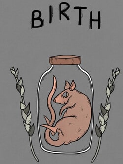 Download Birth