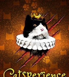 Download Catsperience