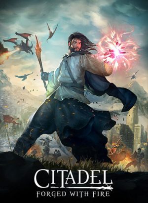 Download Citadel: Forged with Fire