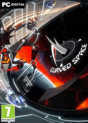 Download Curved Space