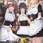 Download CUSTOM ORDER MAID 3D2 It's a Night Magic