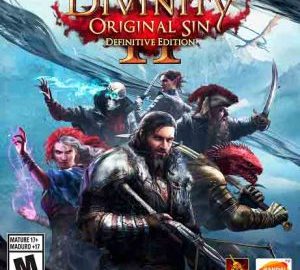 Download Divinity: Original Sin 2 - Definitive Edition