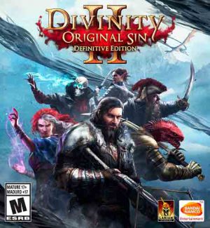 Download Divinity: Original Sin 2 - Definitive Edition