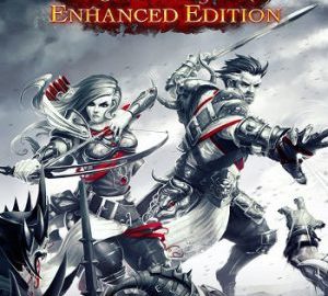 Download Divinity: Original Sin - Enhanced Edition