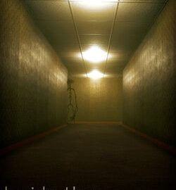 Download Inside the Backrooms