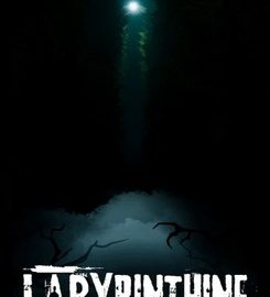 Download Labyrinthine