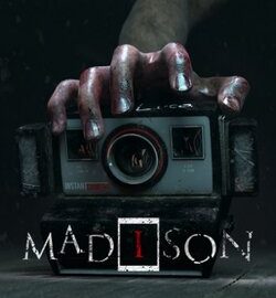 Download MADiSON