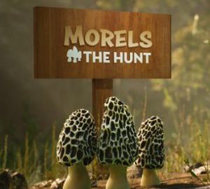 Download Morels: The Hunt