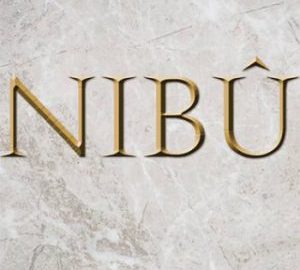 Download Nibû