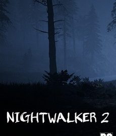 Download Nightwalker 2