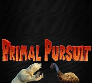 Download Primal Pursuit