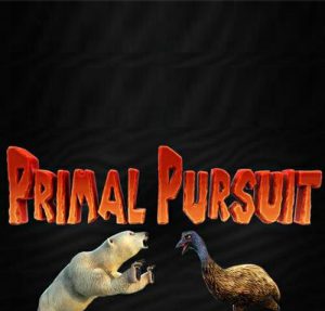 Download Primal Pursuit