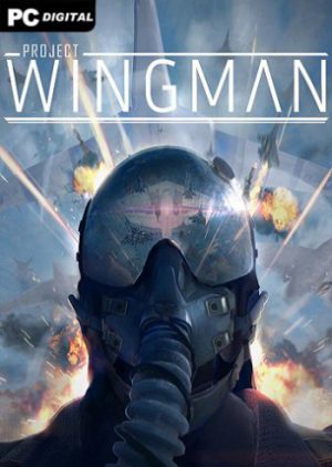 Download Project Wingman