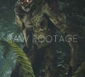 Download RAW FOOTAGE