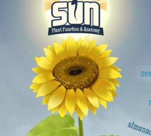 Download Reach for the Sun