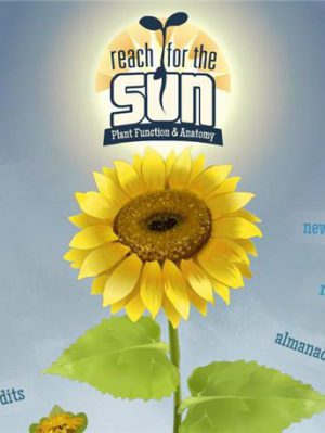 Download Reach for the Sun