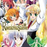 Download Rosenkreuzstilette