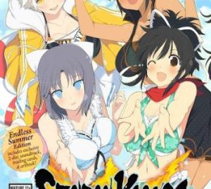 Download Senran Kagura Estival Versus Download Senran Kagura Estival Versus