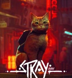 Download Stray
