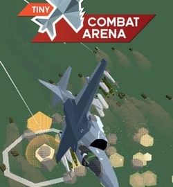 Download Tiny Combat Arena