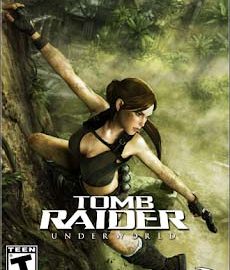 Download Tomb Raider: Underworld Download Tomb Raider: Underworld