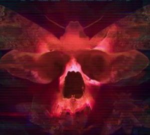 Download Transient