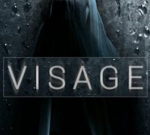 Download Visage