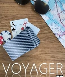 Download Voyager