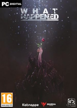 Download What Happened