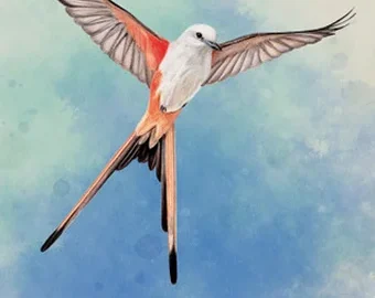 Download Wingspan Special Edition