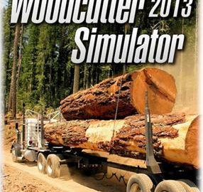 Download Woodcutter Simulator 2013